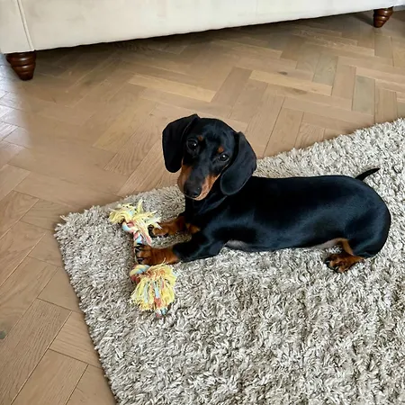 度假居 Heather Mere Cottage, 鲍内斯温德米尔